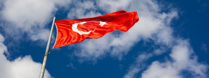 Servizi di Ispezione Pre-Spedizione (PSI) in Turchia