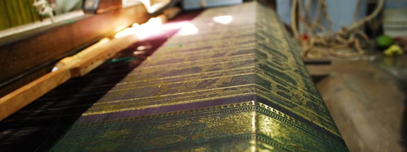 weaving process of kanchipuram silk in a textile factory in india